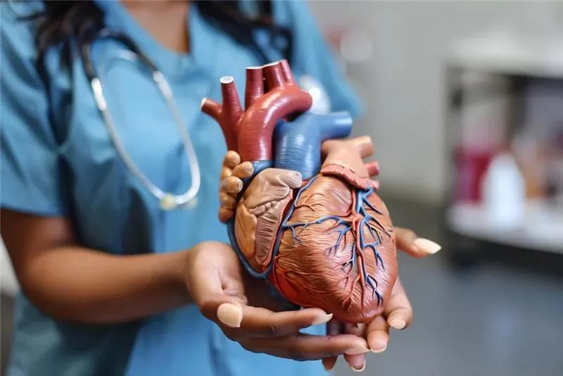 Cardiovascular Wellness